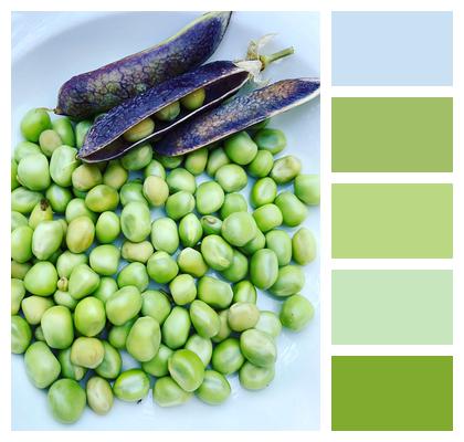 Green Peas Peas Vegetables Image